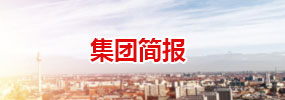 集團簡報
